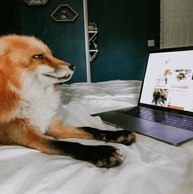 Voice AI Voice