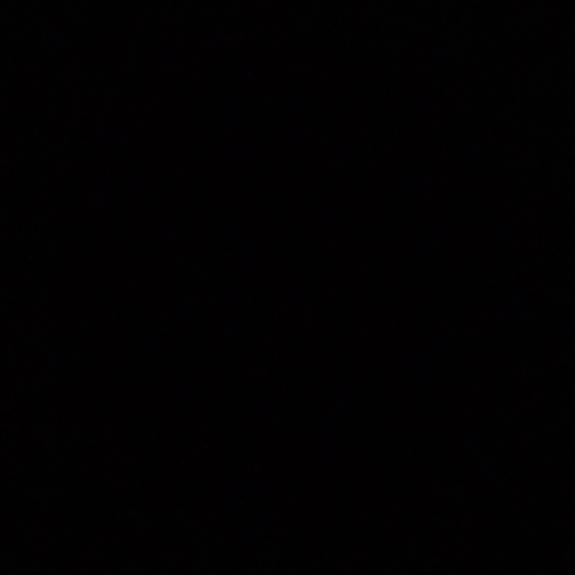 Voice AI Voice