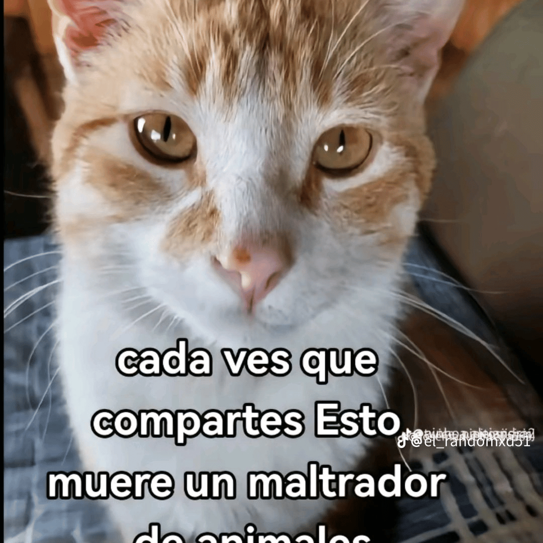 undefined Image