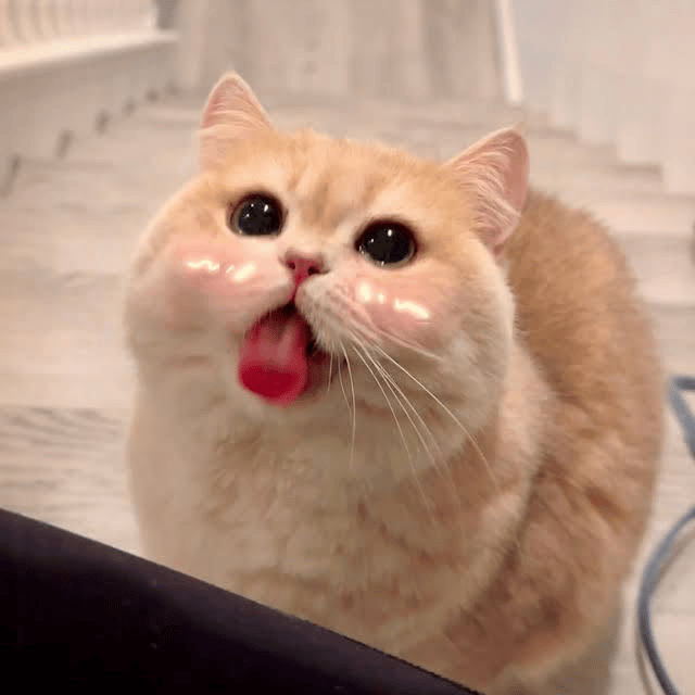 Voice AI Voice