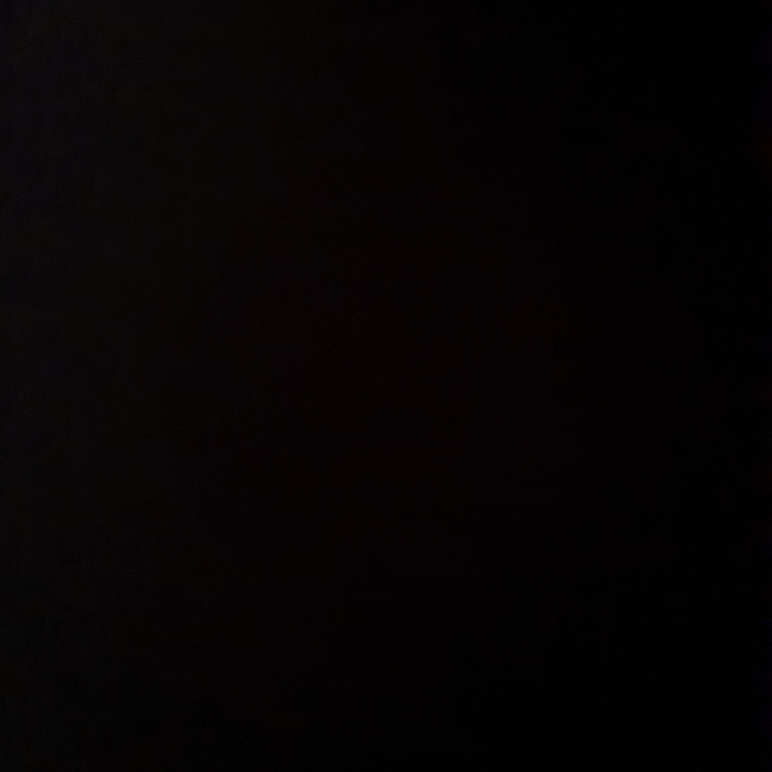 Voice AI Voice