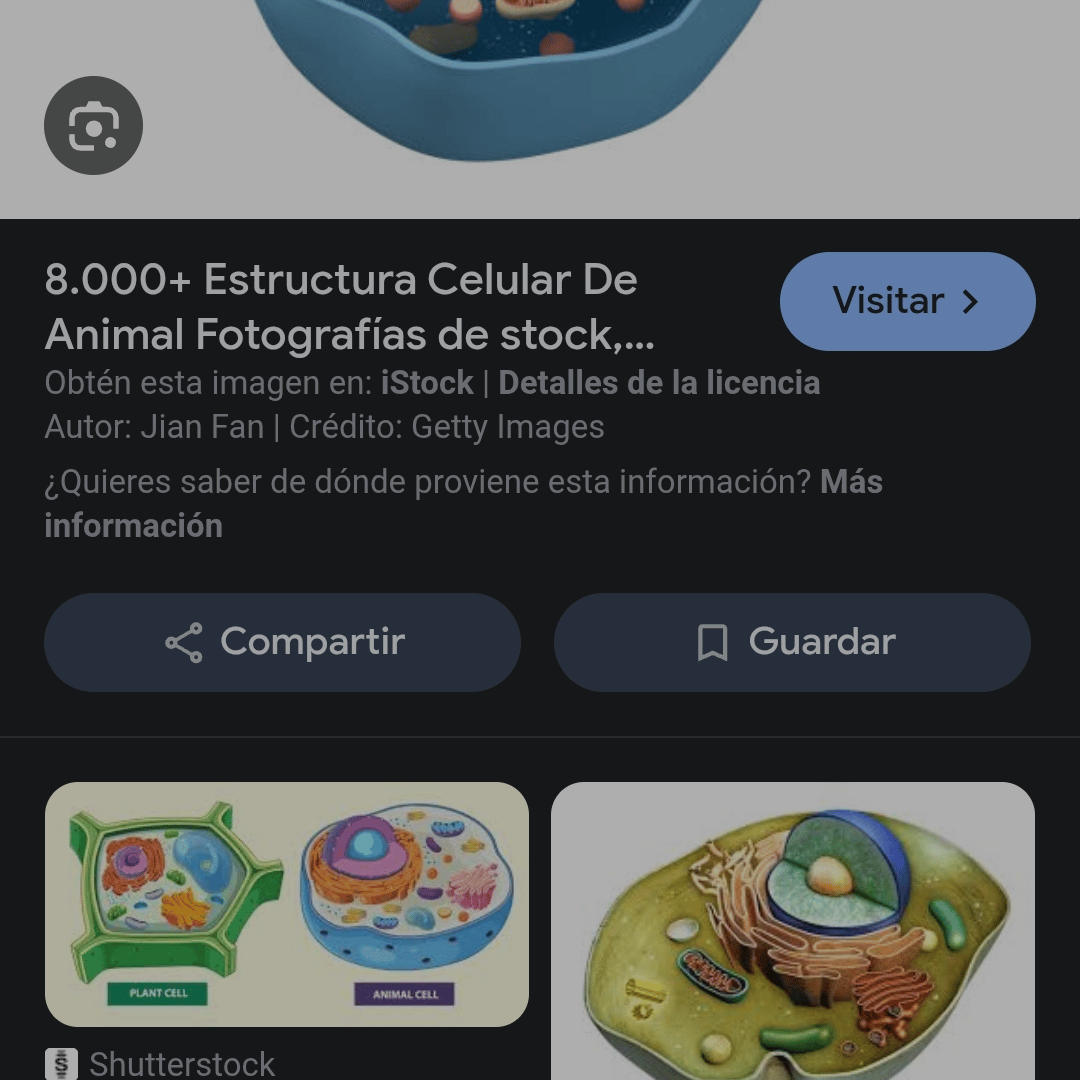 Voice AI Voice