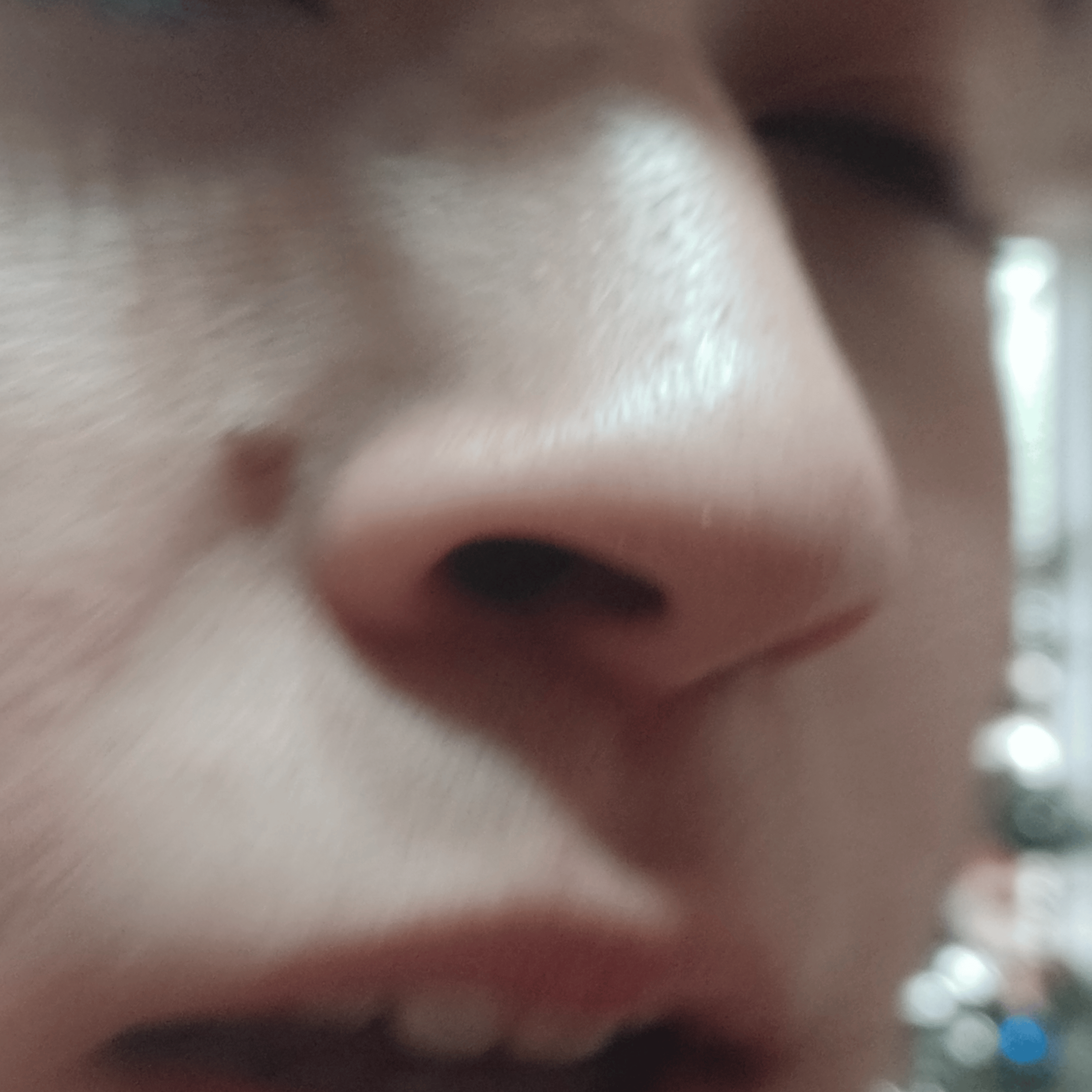 Voice AI Voice