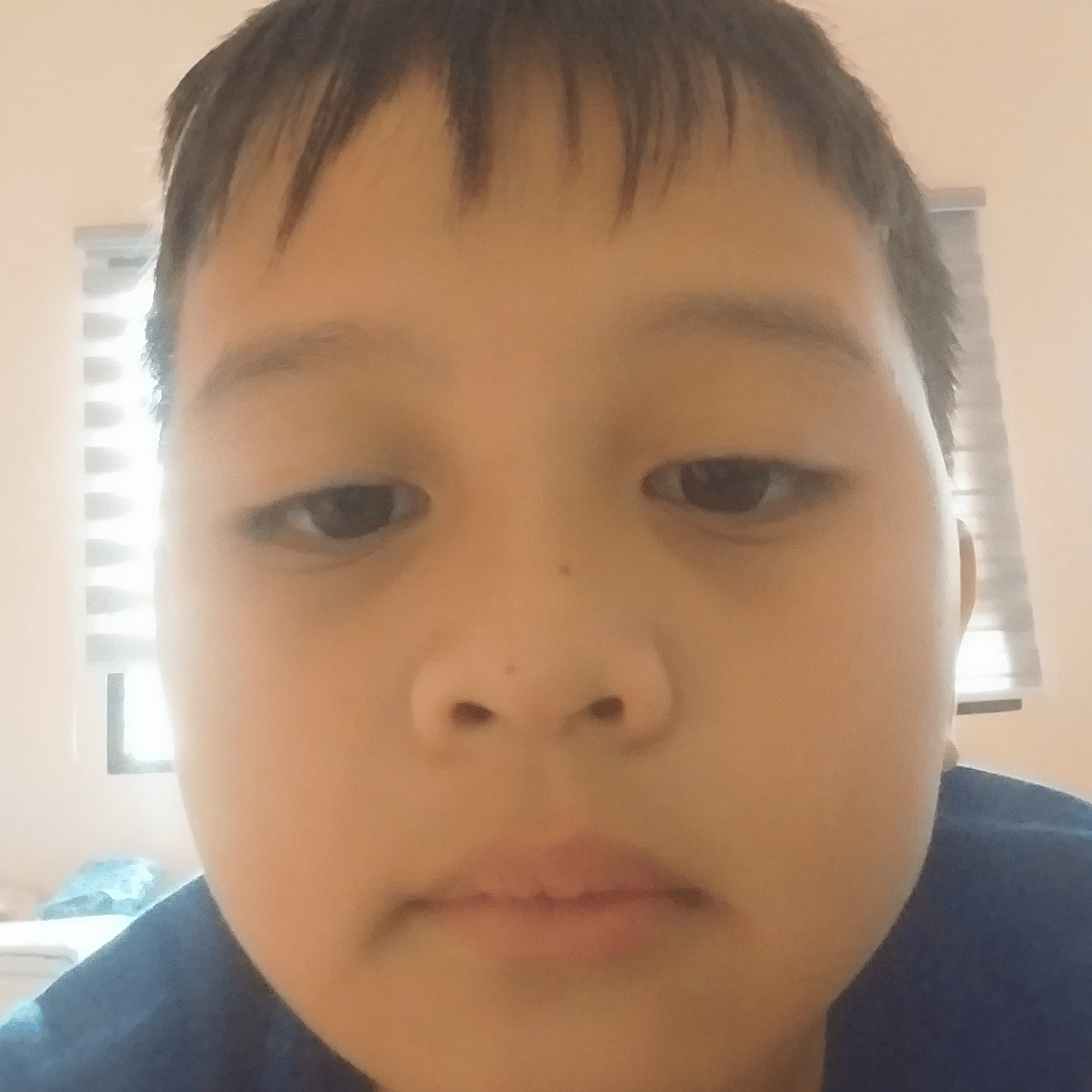 Voice AI Voice