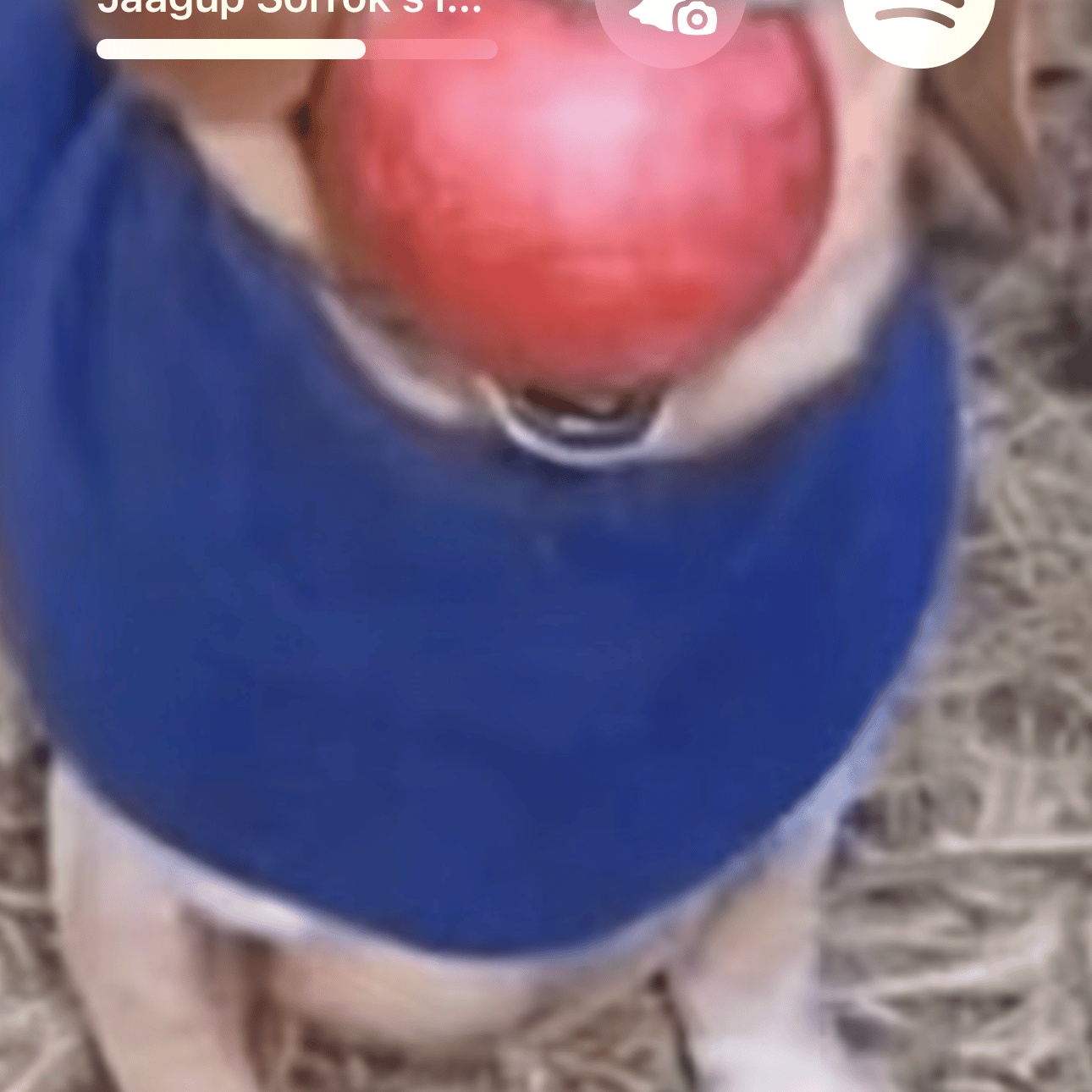 Voice AI Voice
