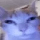 Voice AI Voice
