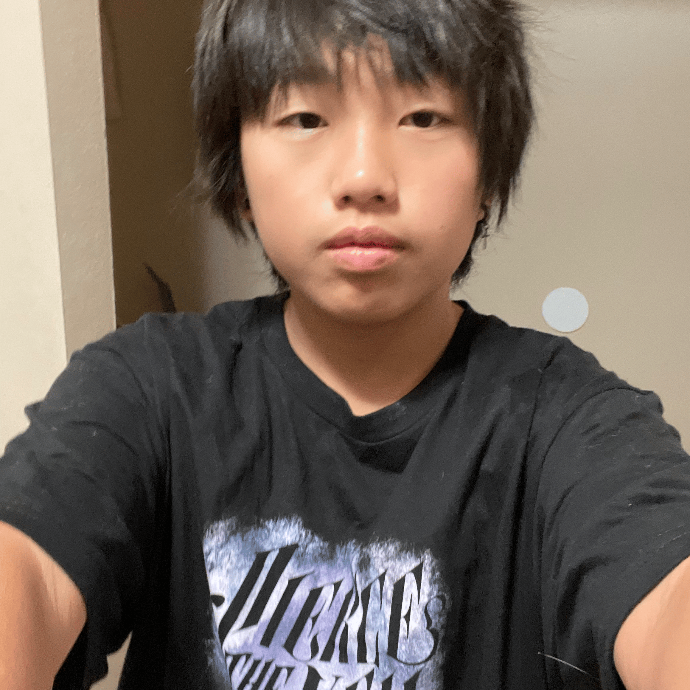 Voice AI Voice