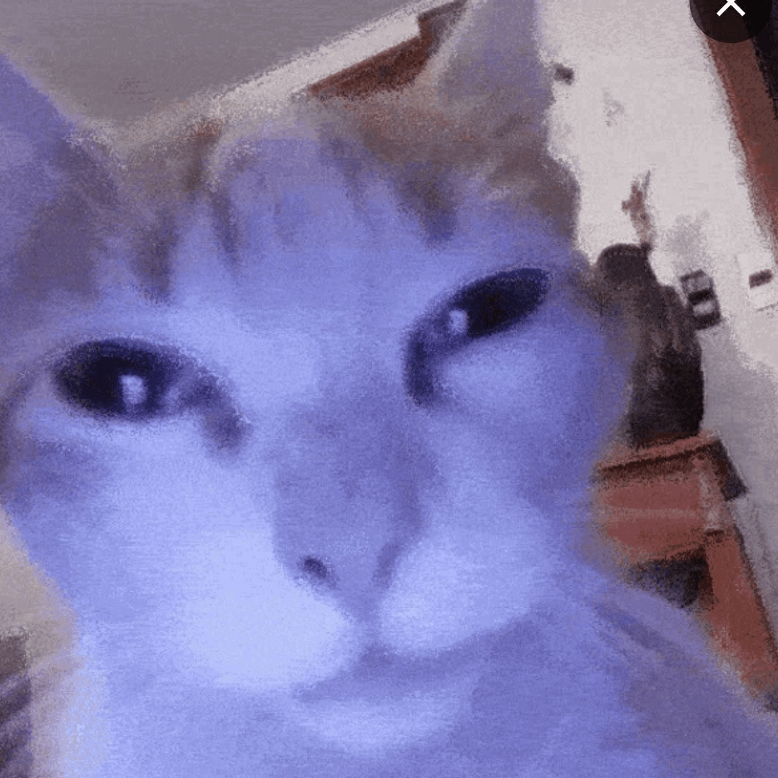 Voice AI Voice