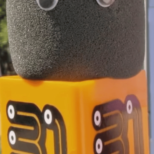 Voice AI Voice