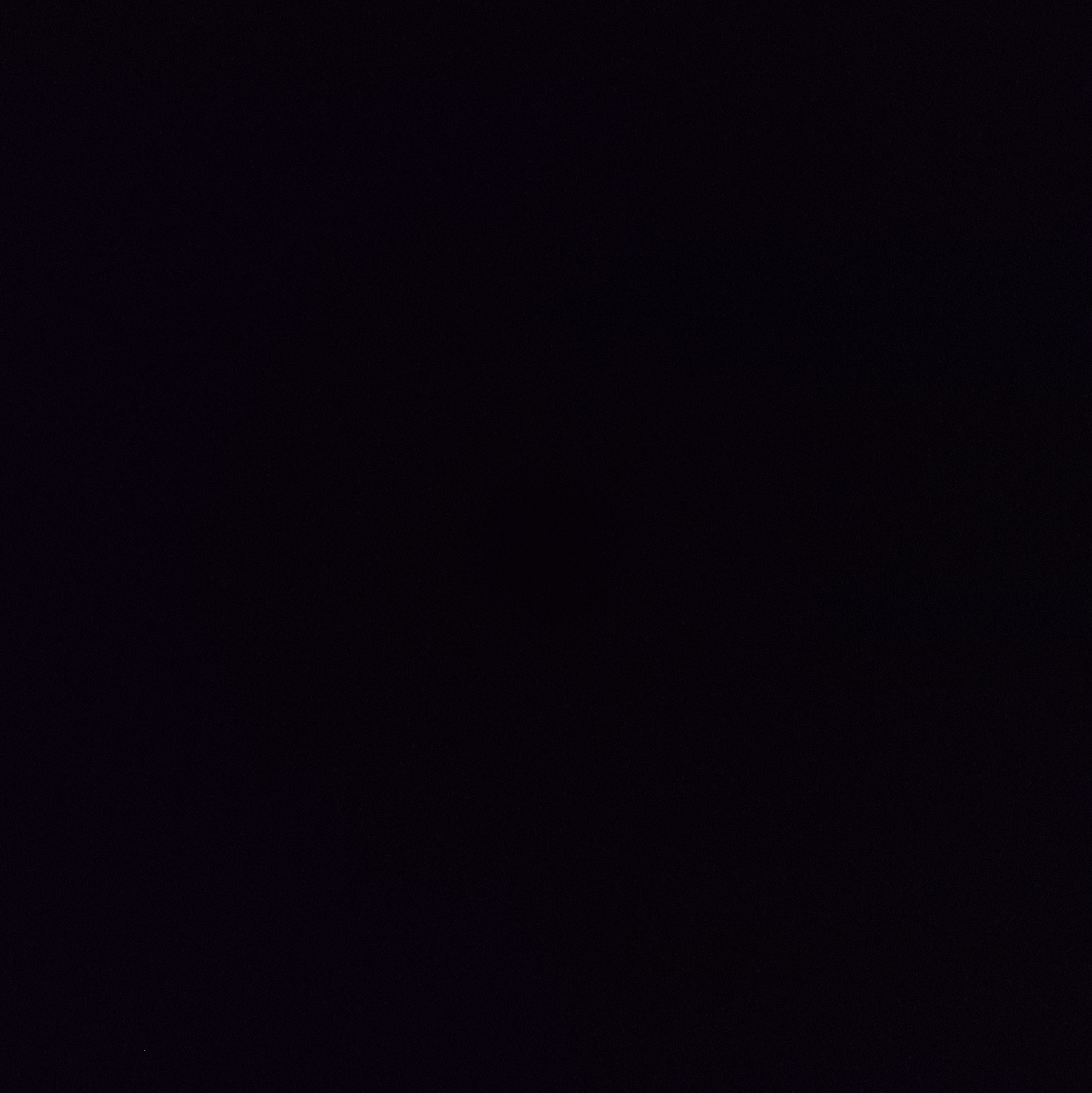 Voice AI Voice