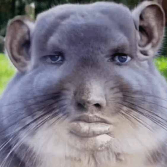 Voice AI Voice