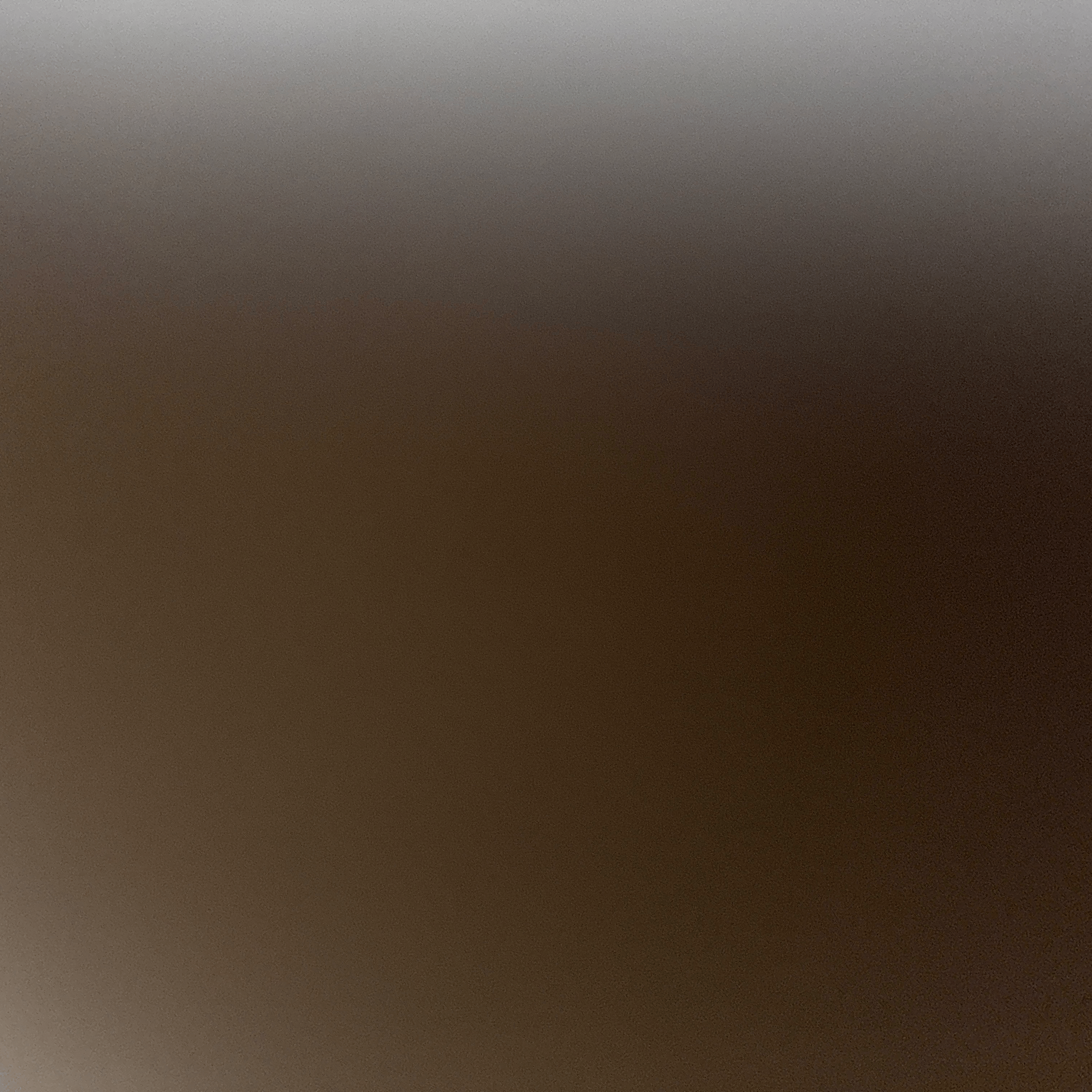 Voice AI Voice