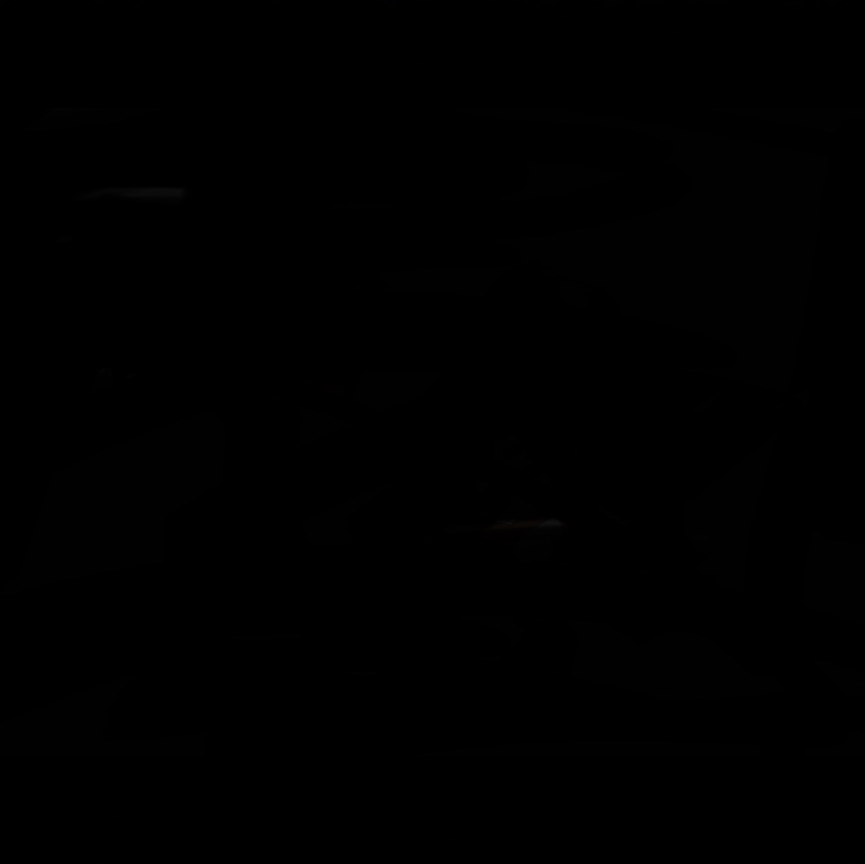 Voice AI Voice