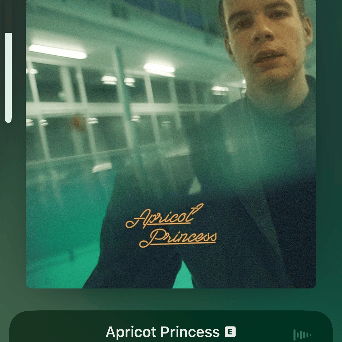 Voice AI Voice