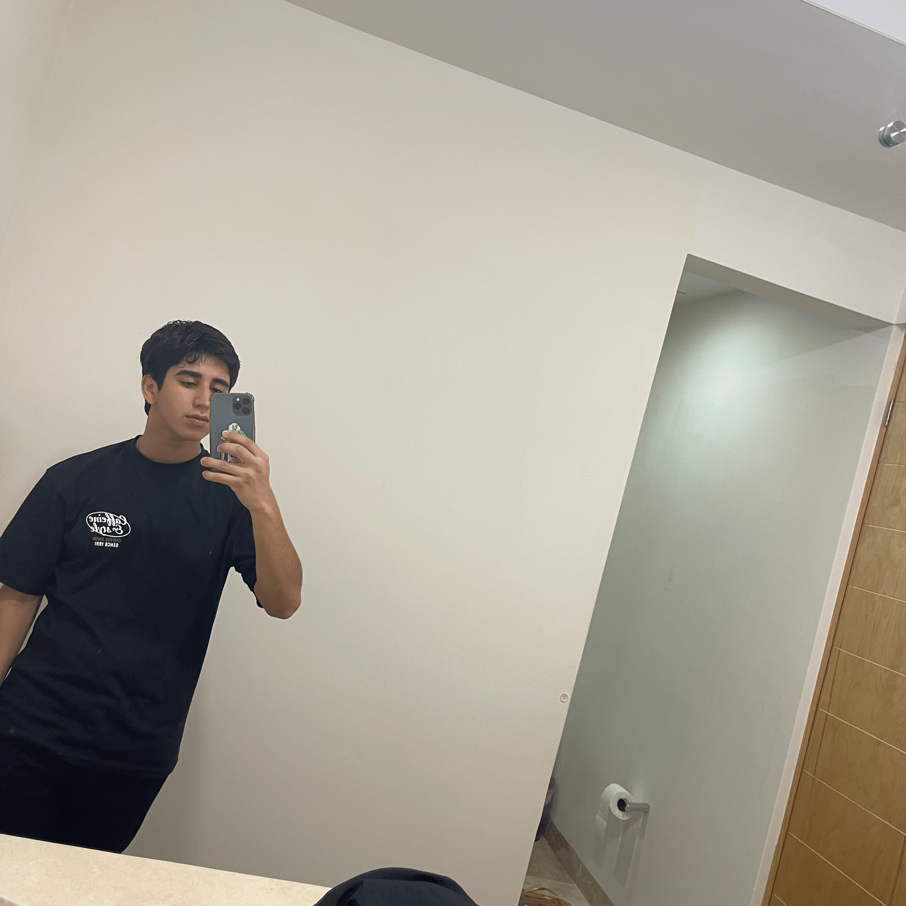 Voice AI Voice