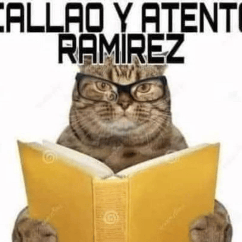 Voice AI Voice