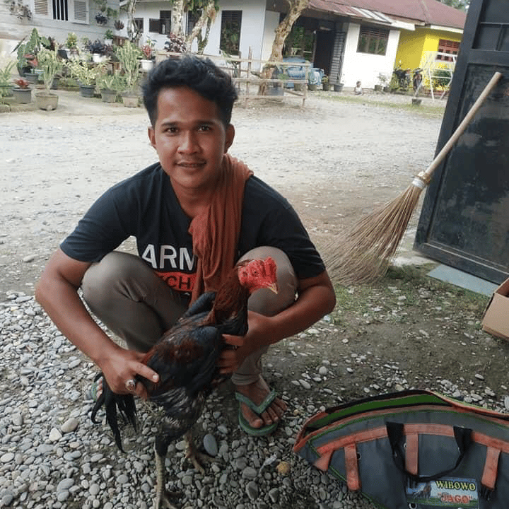 undefined Image