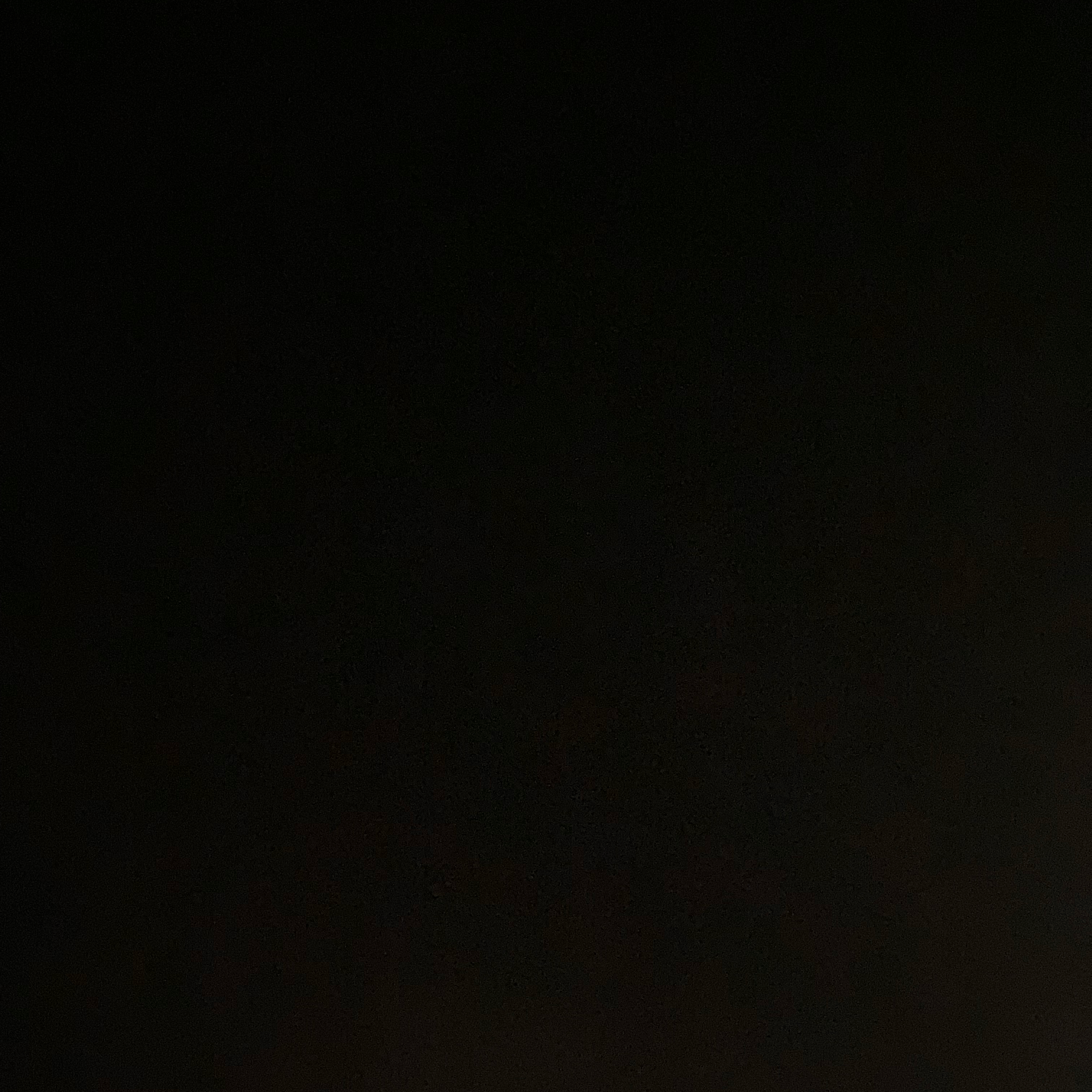 Voice AI Voice