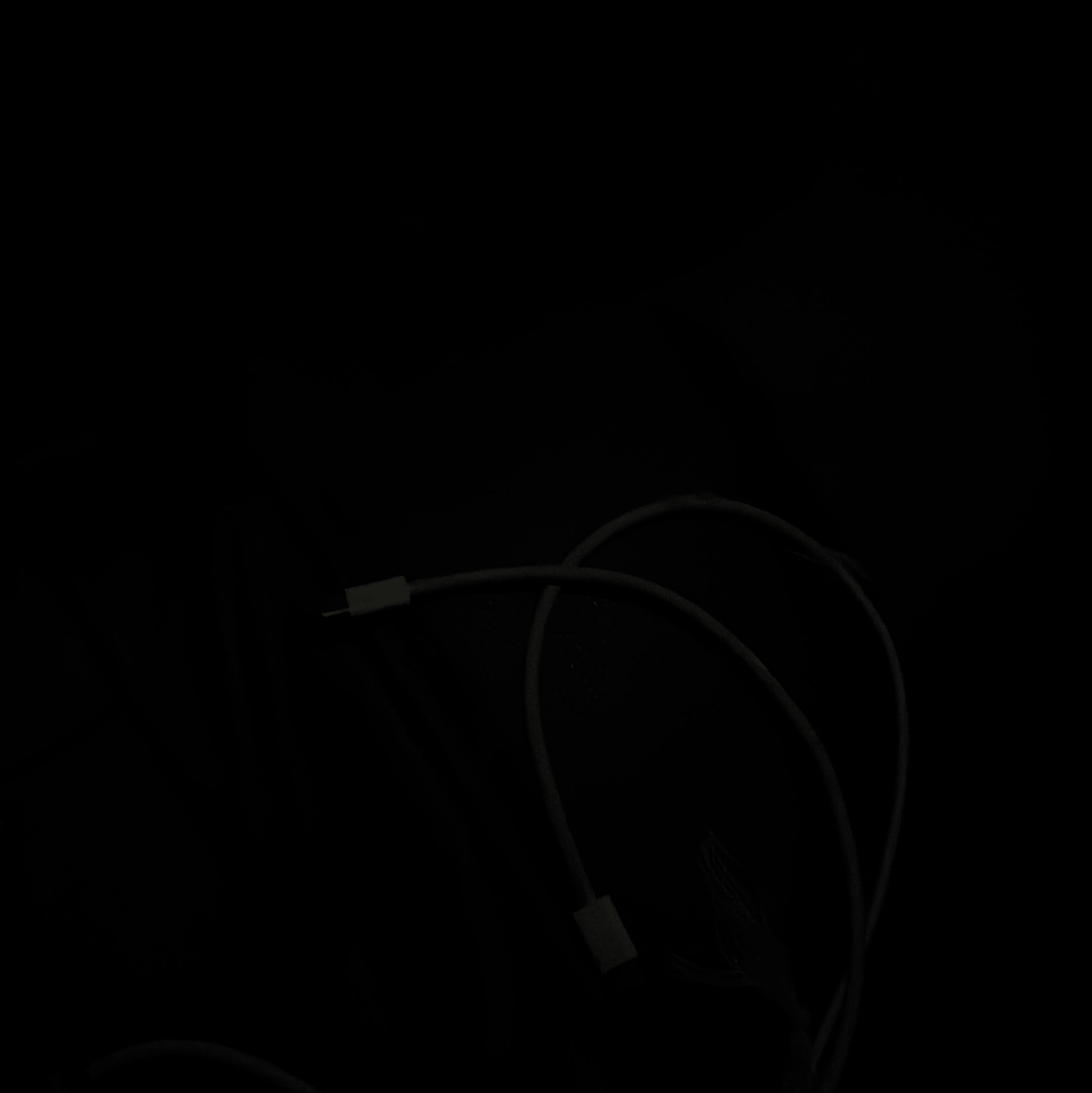 Voice AI Voice