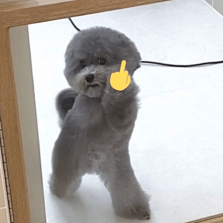 Voice AI Voice