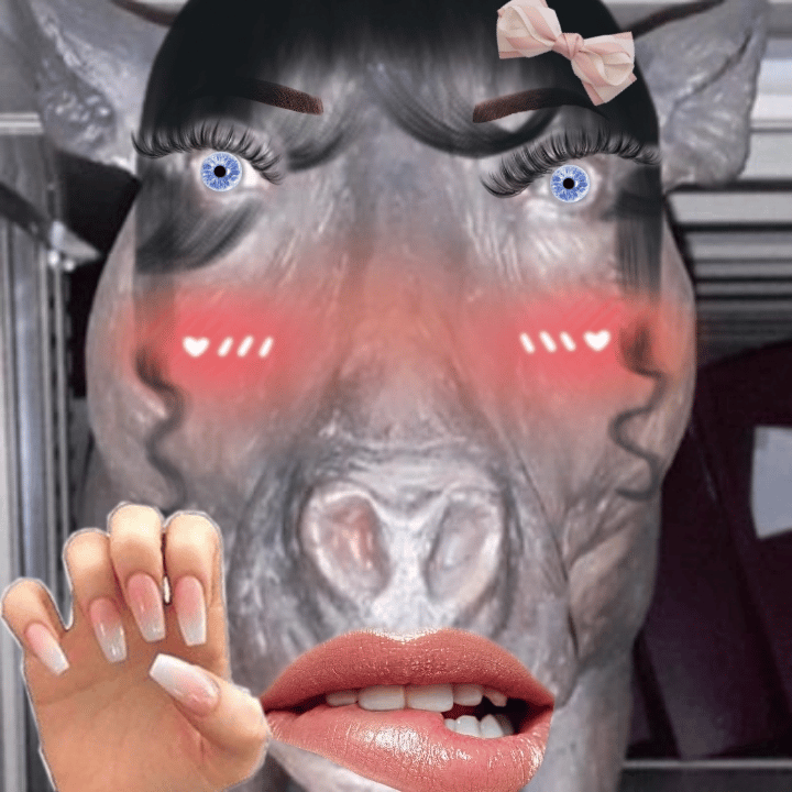 Voice AI Voice