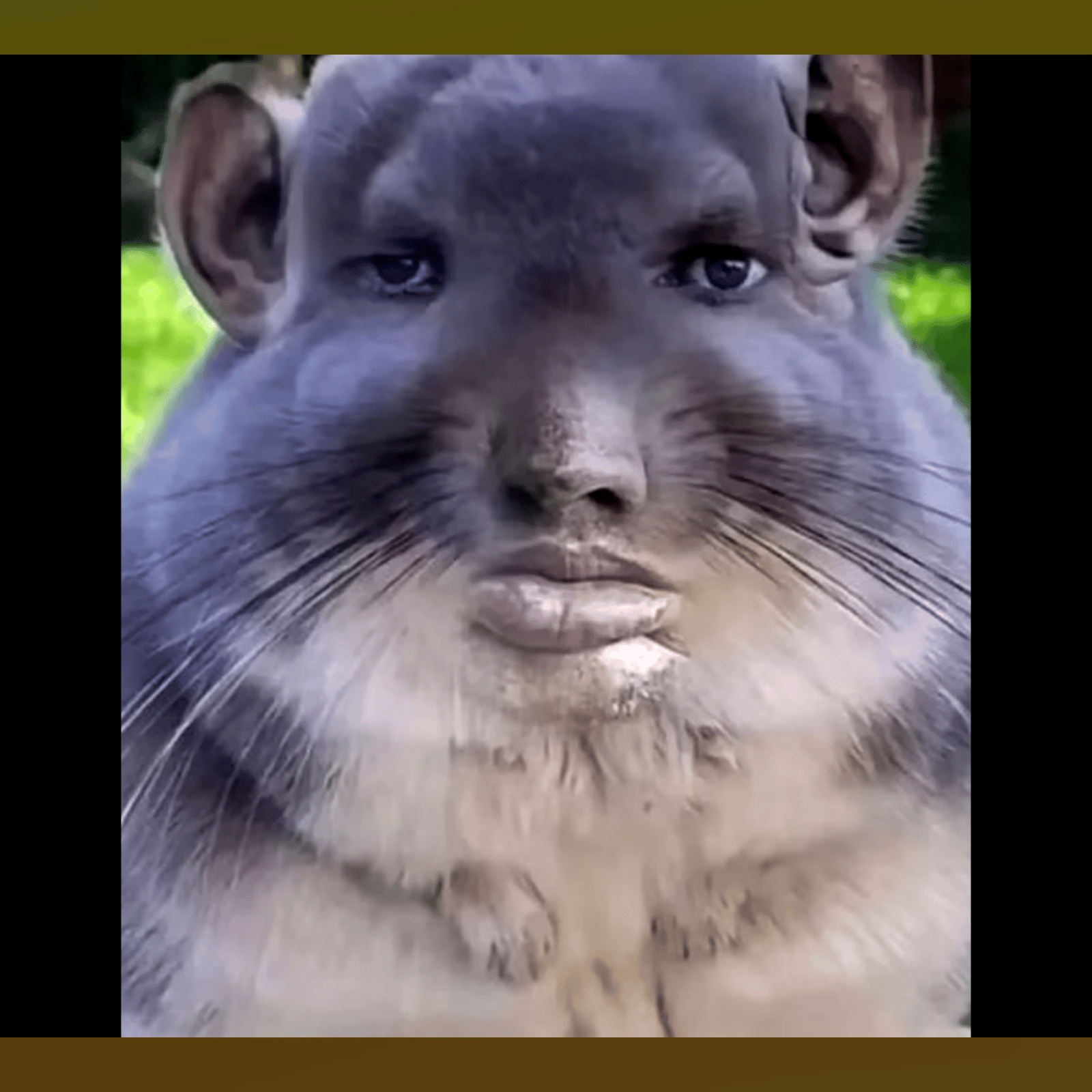 Voice AI Voice