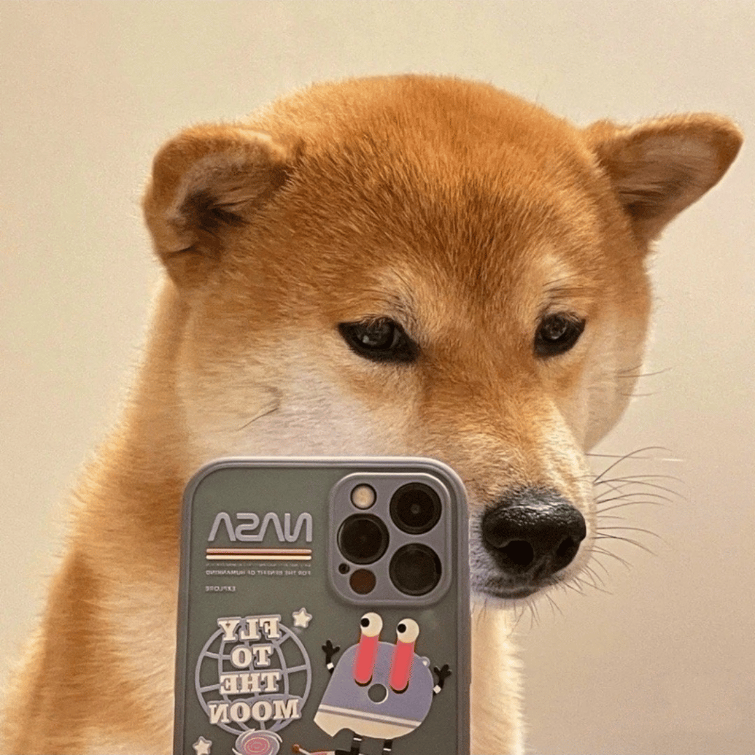Voice AI Voice