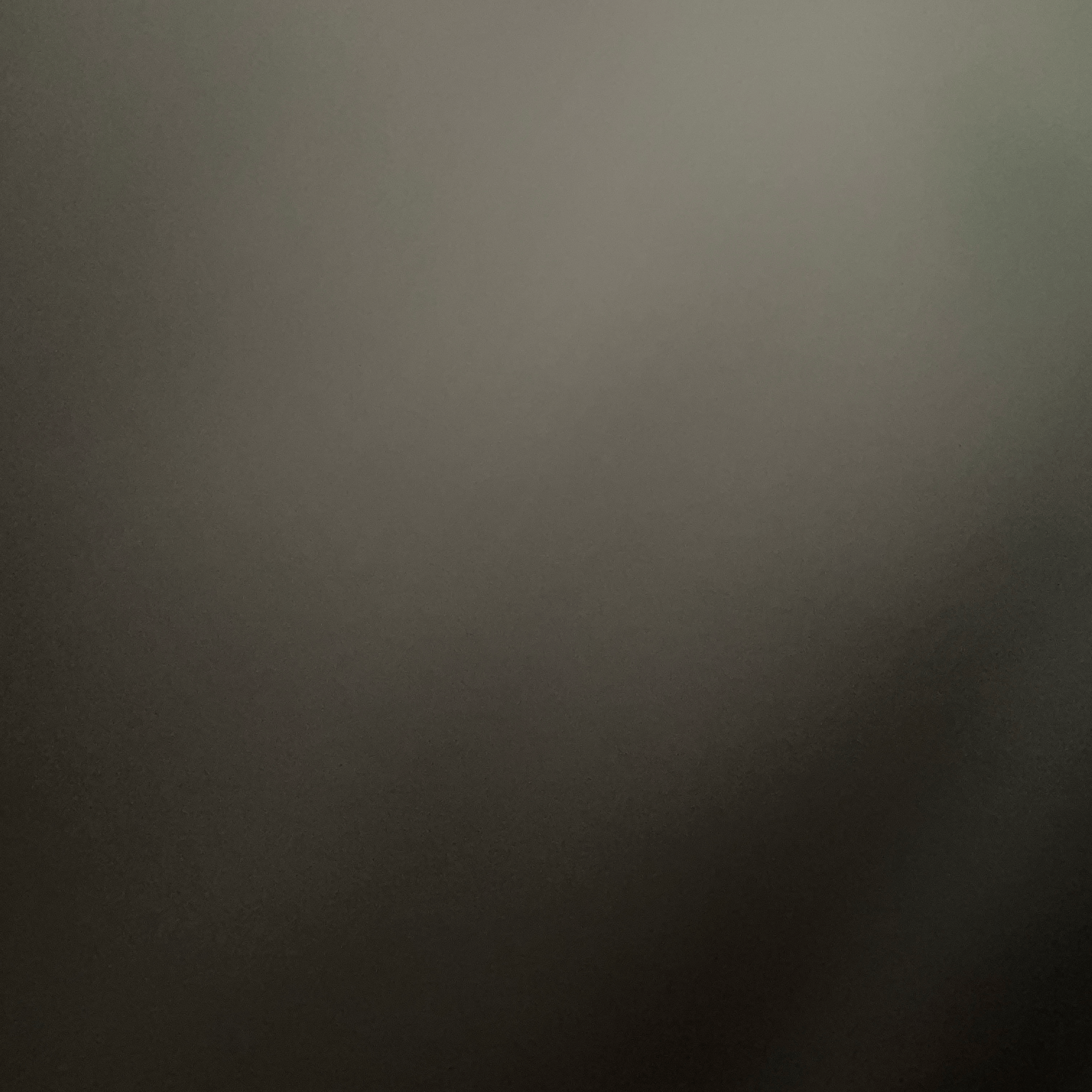 Voice AI Voice