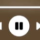 Voice AI Voice