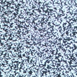 Voice AI Voice