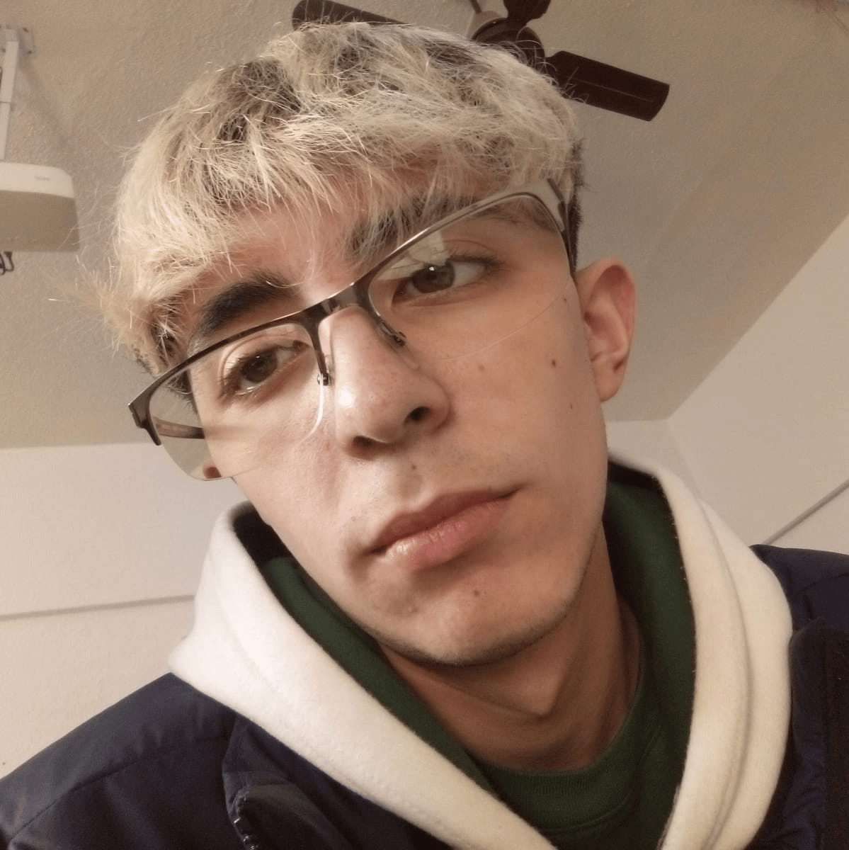 Voice AI Voice