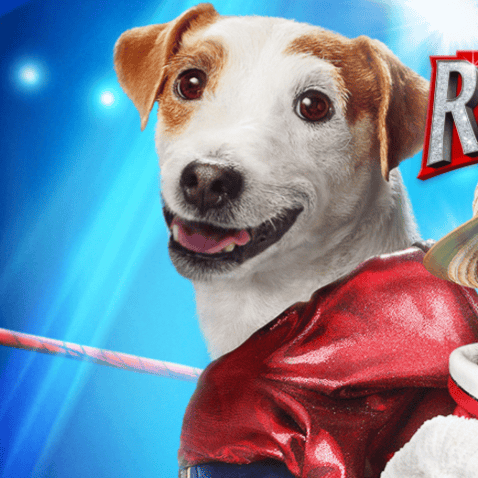 AI Russell (Russell madness) AI Voice