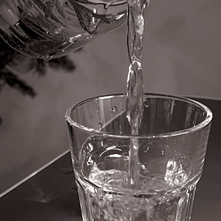 Water AI Voice
