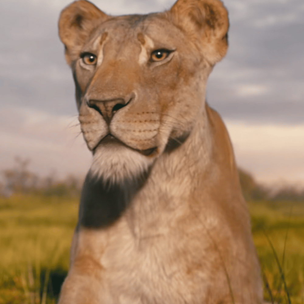 Eshe {Mufasa: The Lion King} AI Voice