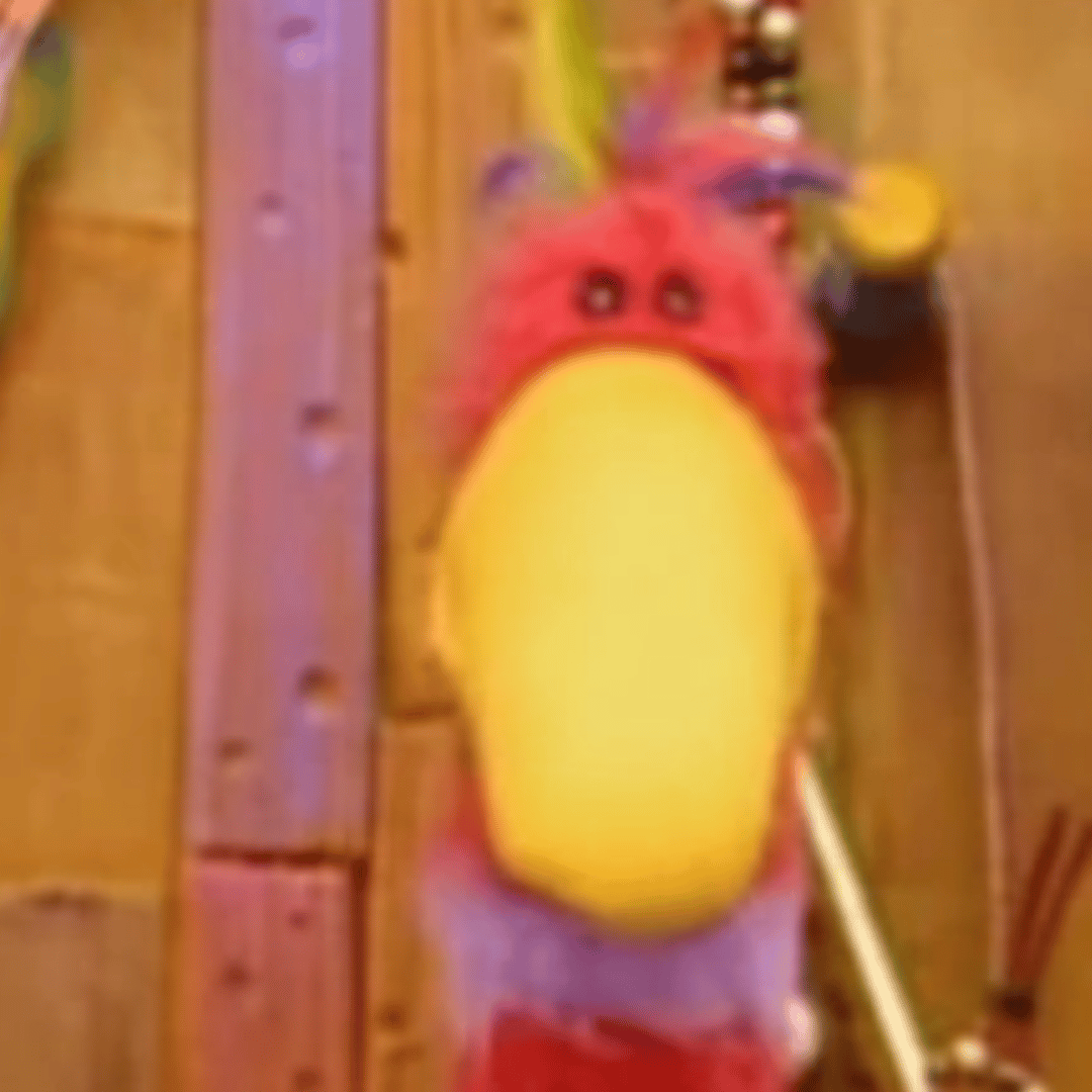 Phil The coo coo bird (Jack's Big Music Show) AI Voice