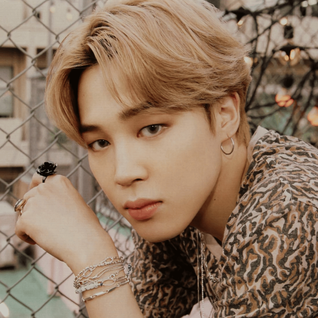 JIMIN 2 AI Voice