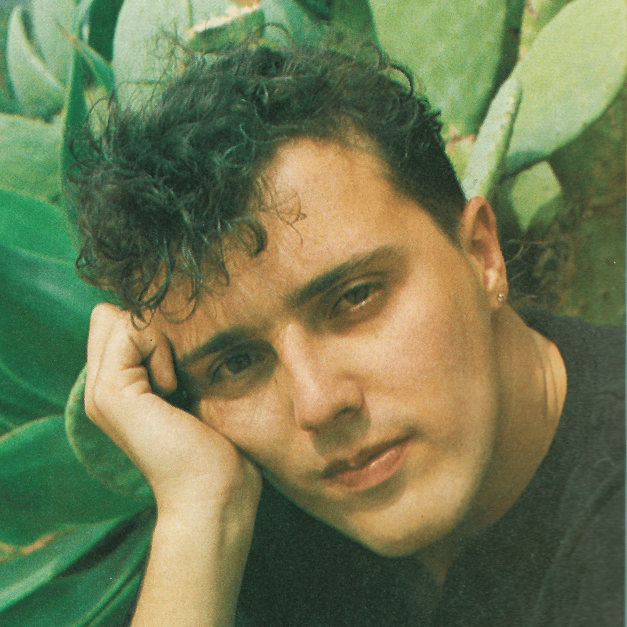 CURT SMITH [Tears For Fears] AI Voice