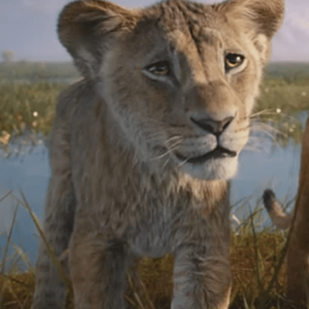 Young Taka/Scar {Mufasa: The Lion King} AI Voice