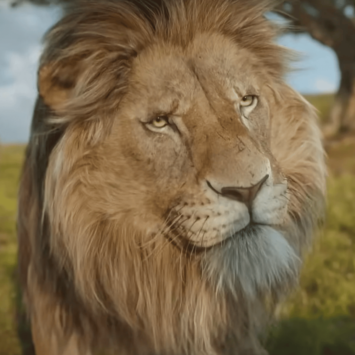 Obasi {Mufasa: The Lion King} AI Voice