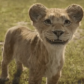 Young Mufasa {Mufasa: The Lion King} AI Voice