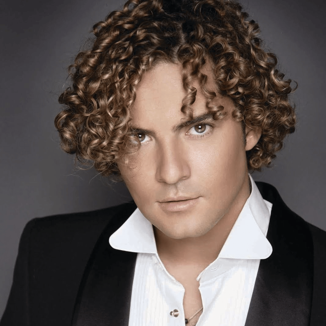 David Bisbal AI Voice