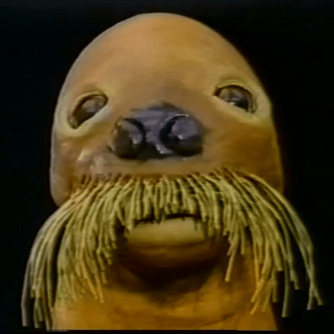 The Walrus (Otmar Gutmann's showreel) AI Voice