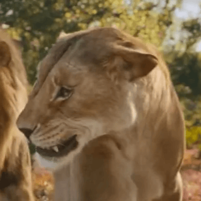 Afia {Mufasa: The Lion King} AI Voice