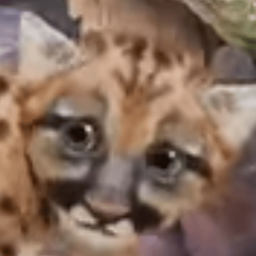 Mountain Lion (Wonder Pets in the city) AI Voice