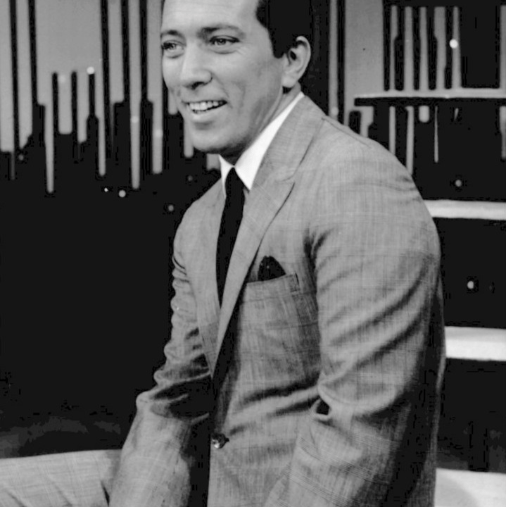 Andy Williams  AI Voice