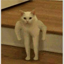 Happy cat AI Voice