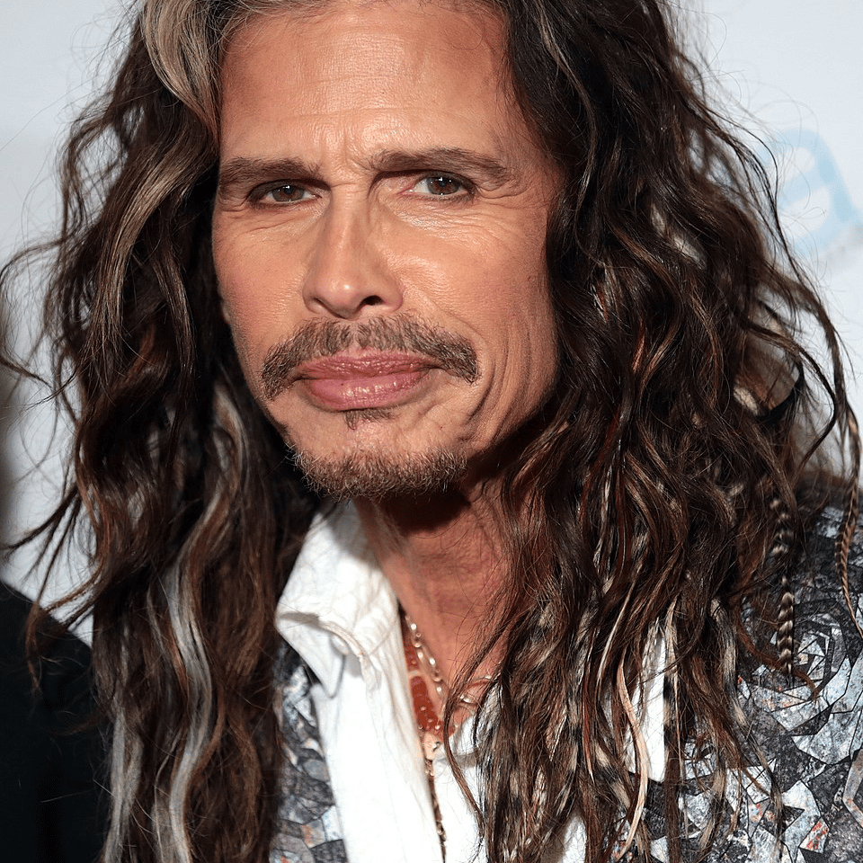 Steve Tyler (lead singer of Aerosmith) AI Voice