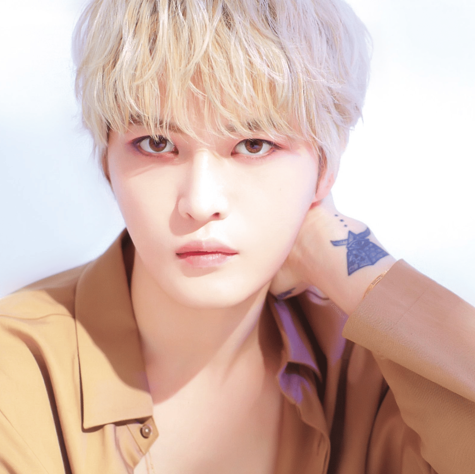 JAEJOONG from JYJ of TVfXQ AI Voice