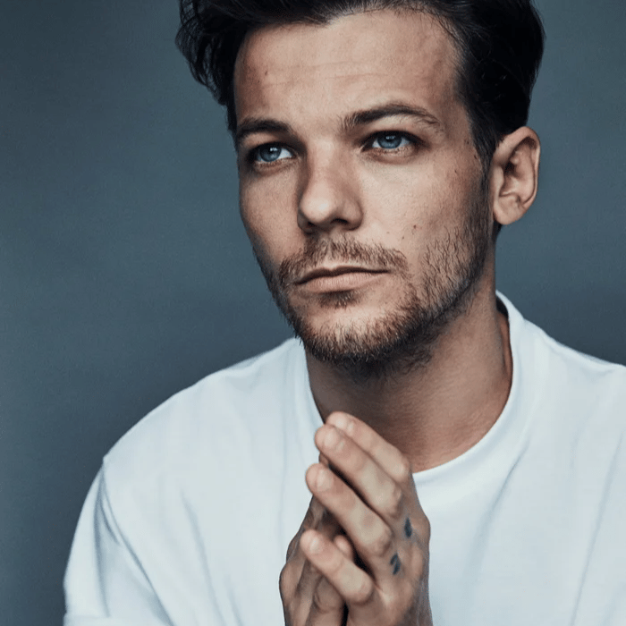 Louis AI Voice