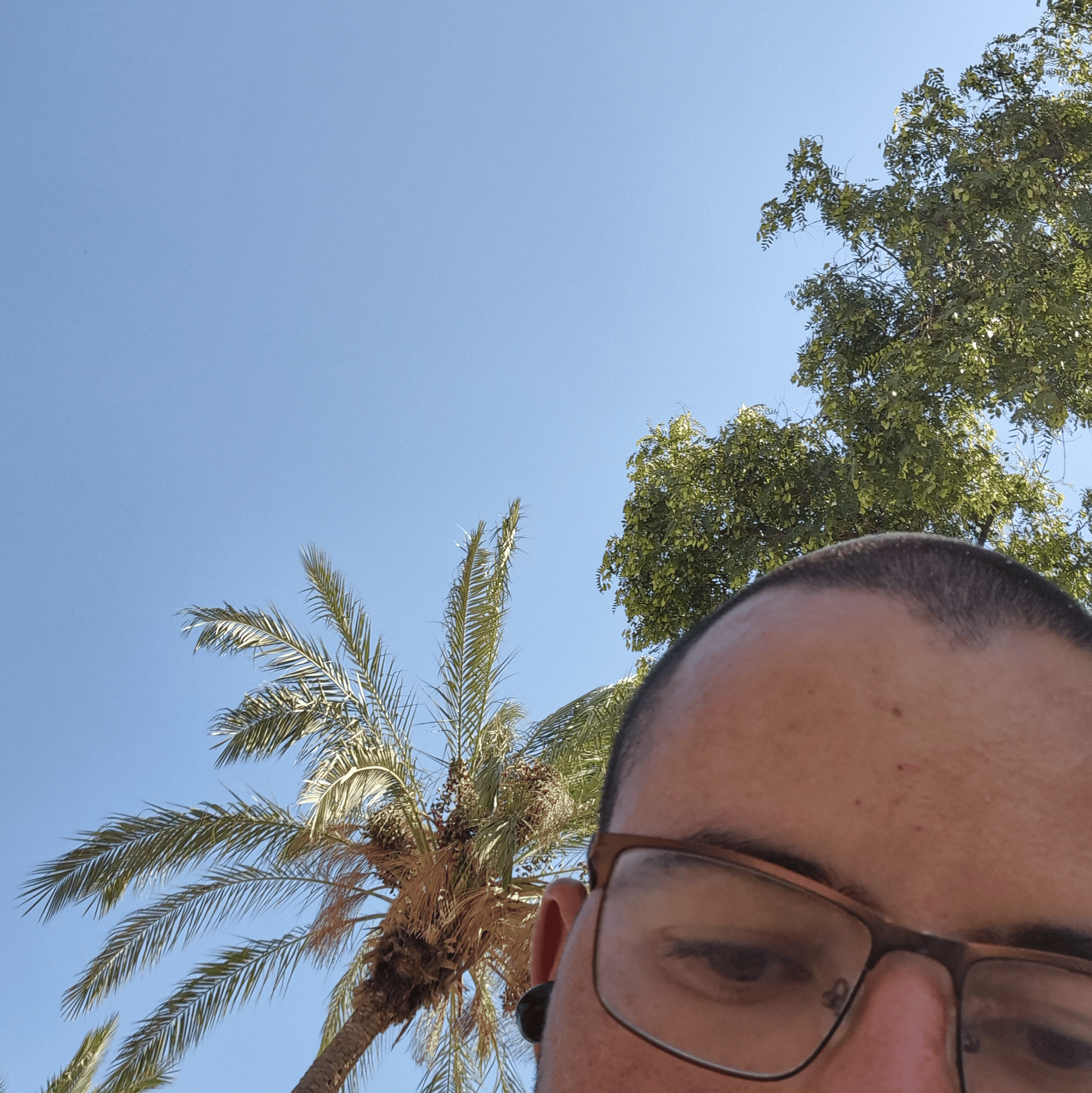 איליי גונן יענקלביץ AI Voice